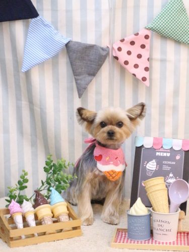 20250511メイちゃん